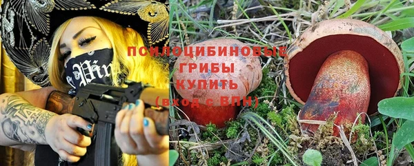 дмт Абаза