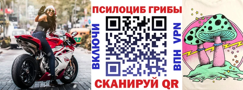 Галлюциногенные грибы мицелий  Вышний Волочёк 